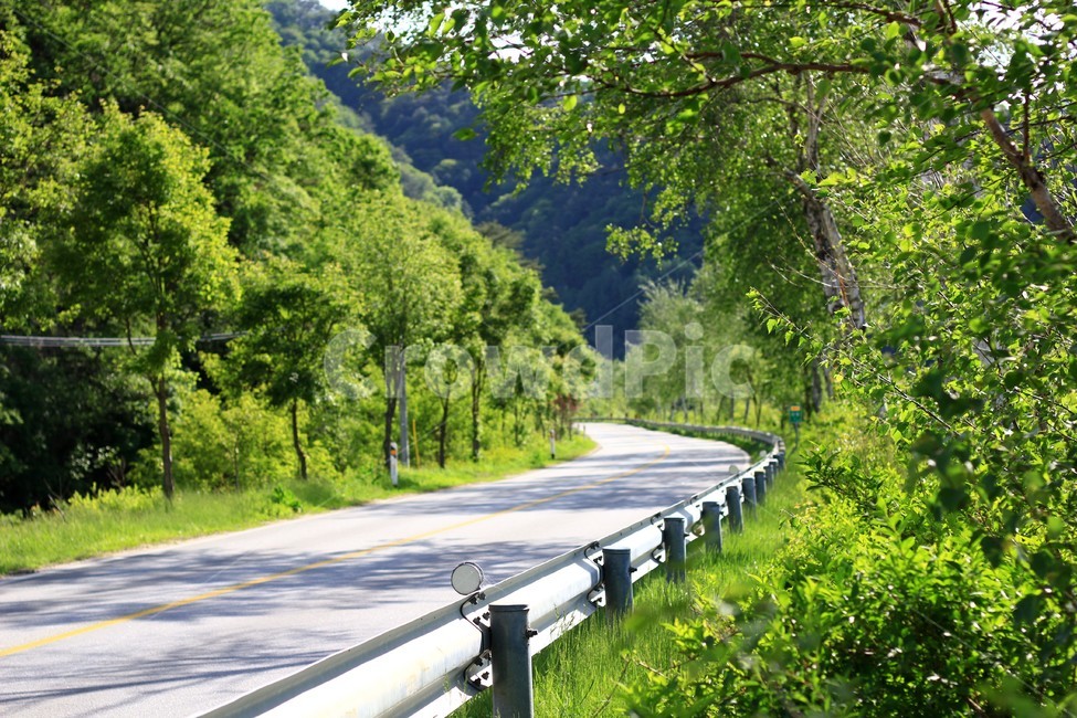 녹색자연,녹색,저연,푸르름,푸름,푸르다,도로,road,자연,풍경,nature,landscape
