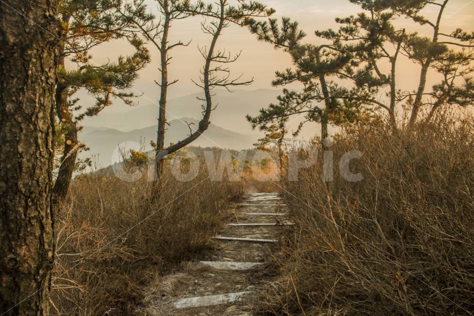 산길,풍경,남해,경남,산,아침,햇살,자연,풍경,nature,landscape,한국자연풍경,한국자연경관,korea nature landscape
