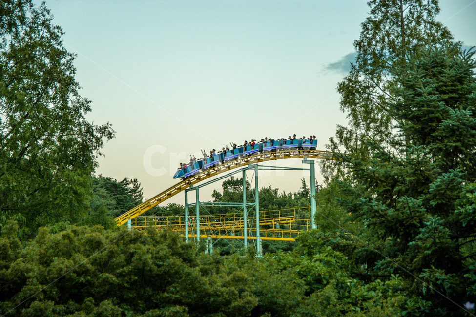 EWorld,Amusement Park,Roller Coaster,tree,Duryu Park,Rides