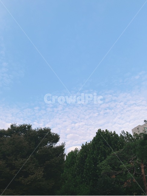 하늘,구름,감성,weather,nature,자연