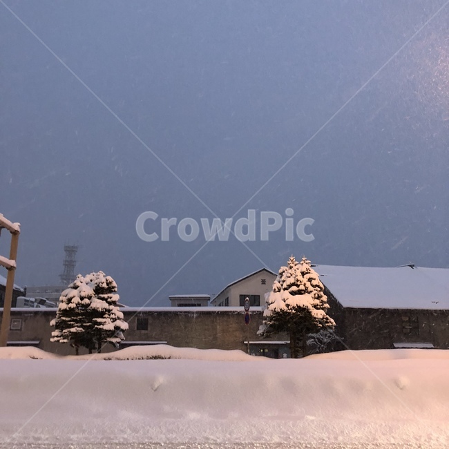 nature,자연,겨울,풍경,눈,겨울,계절,winter,season