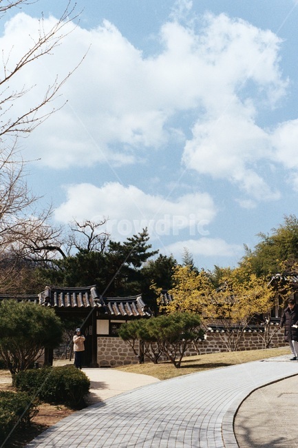 길,공원,봄,하늘,한옥,봄,계절,spring,season,시골,마을,풍경,landscape,country,rural,town,한국전통,한국문화,korean traditional,korean culture,outdoors,옥외