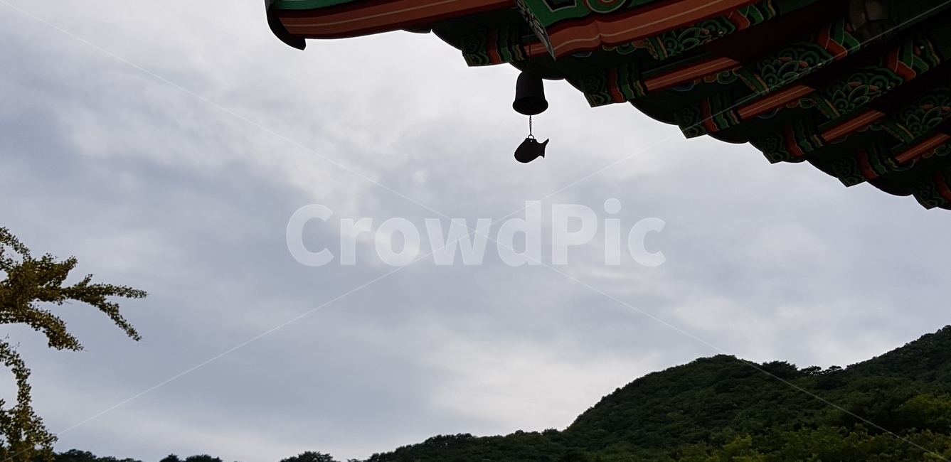 사찰,종,풍경,지붕,하늘,그림자,청평사