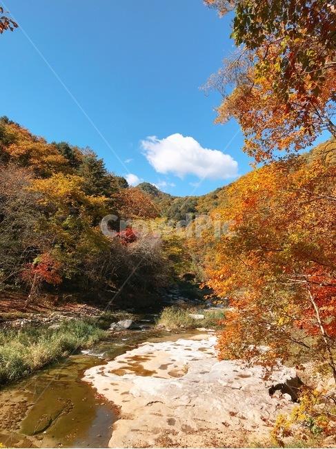 가을,가을산,산,fall,nature,단풍,단풍나무,하늘,season,autumn,sky,파란,구름,가을,계절,fall,autumn,season,자연,water,물,outdoors,옥외,leaf,잎,plant,식물