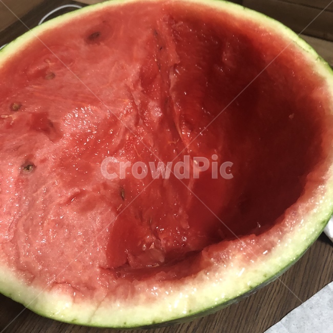 plant,식물,food,식품,melon,멜론,watermelon,fruit,과일