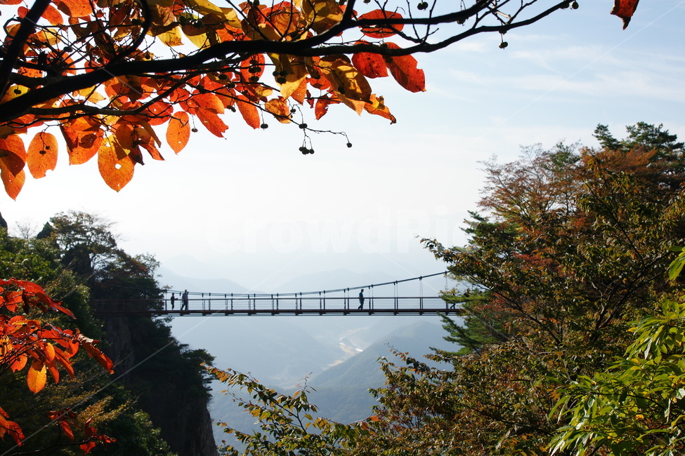대둔산,구름다리,단풍,가을,풍경,가을,계절,fall,autumn,season,자연,풍경,nature,landscape,사람,인물,인간,human,person,building,건물,bridge,다리