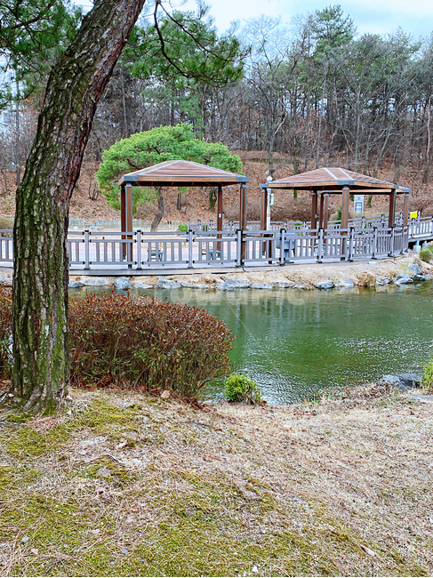 공원,의정부,풍경,정자,자연