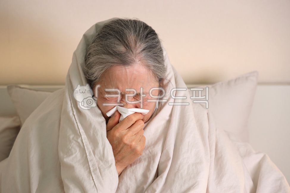 코감기,기침,콧물,감기,독감,인플루엔자,바이러스,증상,증세,코로나,노인,할머니,노인질병,돌봄,노인돌봄
