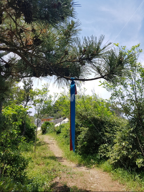 제주,제주도,추자도,여행,바다,올레길,제주도바다,하늘,풍경,자연,힐링,숲,길,구름,섬,나무,자연,풍경,nature,landscape,outdoors,옥외,arbour,정자,garden,정원