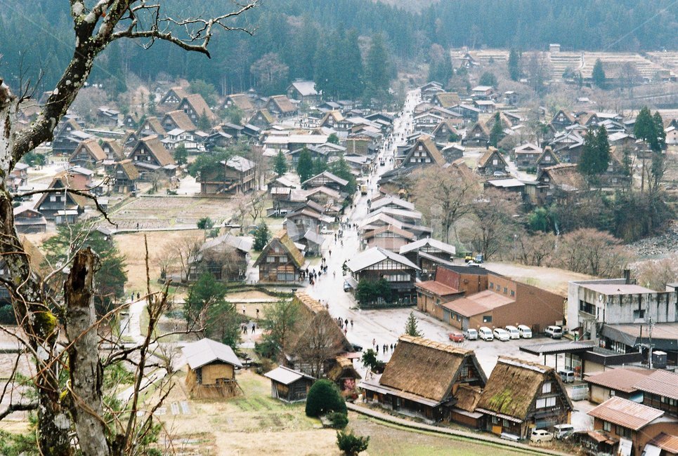 japan,시라카와고,shirakawago,마을전경,아기자기한마을,소도시,시골마을,마을풍경,가정집