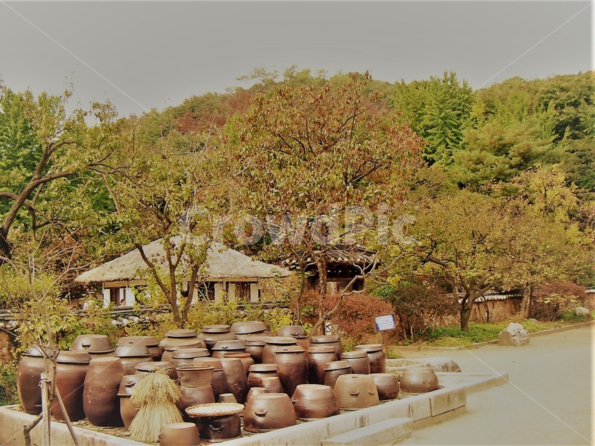 항아리,초가집,전통가옥,전통,old,한국전통,한국문화,korean traditional,korean culture