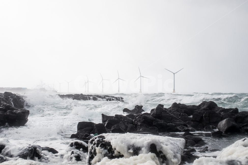 바다,파도,풍력발전기,제주도,바람,제주도,jeju,jeju island,산업,industry,industrial,에너지산업,energy industry,machine,기계,motor,모터,engine,엔진,cow,소,cattle,가축,animal,동물,mammal,포유류