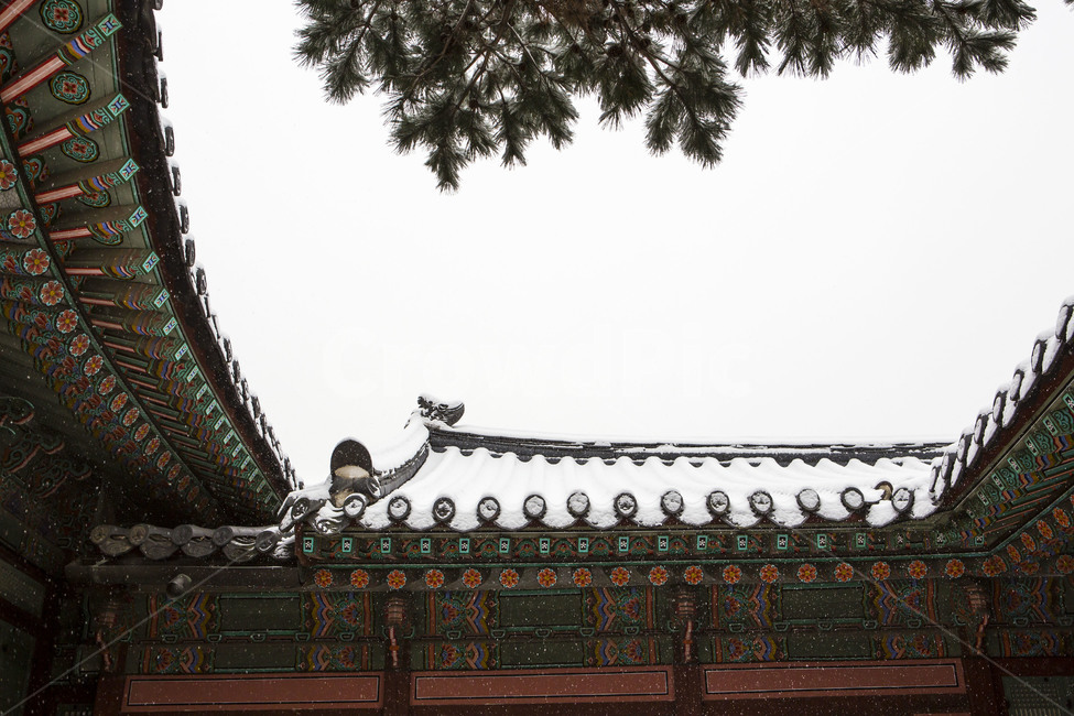 단청,기와,무늬,고궁,한국의미,겨울,계절,winter,season,한국전통,한국문화,korean traditional,korean culture,건축물,건물외관,exterior,building,structure,architecture,construction