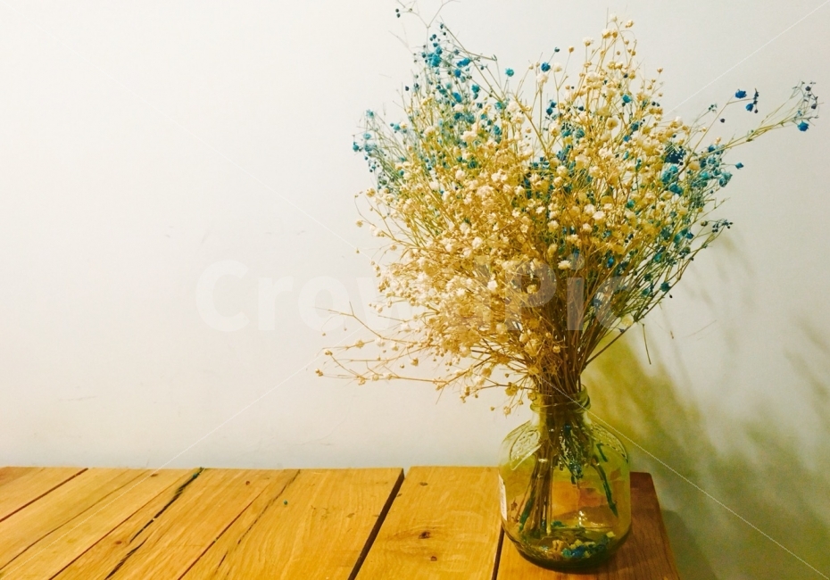 일상,색감,배경,감성사진,꽃,드라이플라워,식물,자연,plants,nature,꽃,flower,감성,sensible,feeling,인테리어,실내디자인,interior design