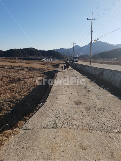 human,person,사람,road,시골