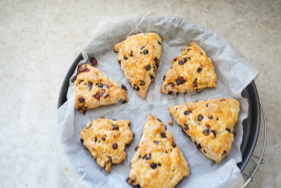 스콘,빵,scone,초코칩스콘,요리,음식,음식,식재료,요리,food,cook,meal,dishes,food reserves,디저트,간식,후식,dessert,snack