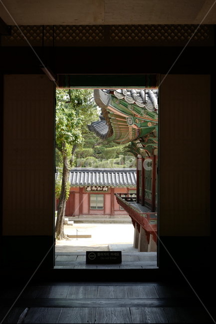창덕궁,궁궐,기와,단청,풍경,문,창,세계문화유산,전통,건축,한국전통,문화재,한국전통,한국문화,korean traditional,korean culture,건축물,건물외관,exterior,building,structure,architecture,construction
