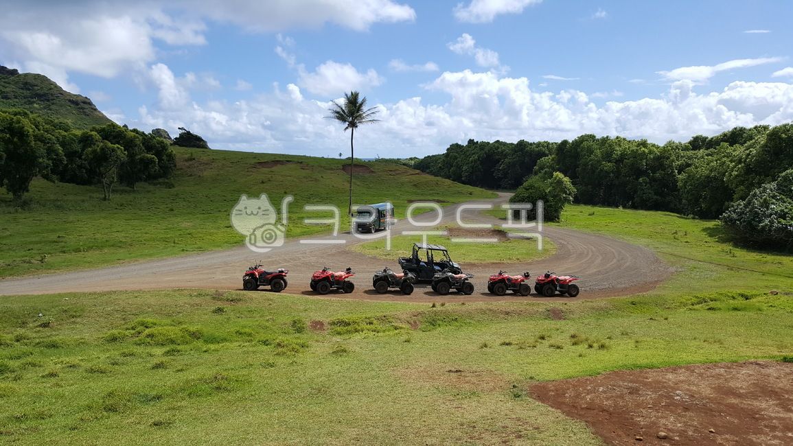 하와이,관광지,쿠알로아랜치,atv,투어프로그램,자연,경관,들판,field,atv투어,kualoaranch,오하우섬,오아후,영화촬영지,초원