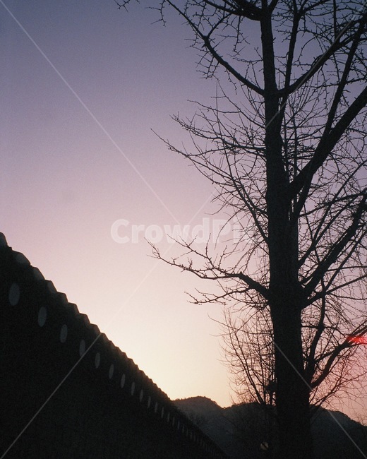 서촌,노을,길거리,하늘,힐링,필름,필름카메라,자연,풍경,nature,landscape,outdoors,옥외