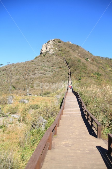 식물,억새,황매산,합천,가을풍경,가을,계절,fall,autumn,season,자연,풍경,nature,landscape,outdoors,옥외