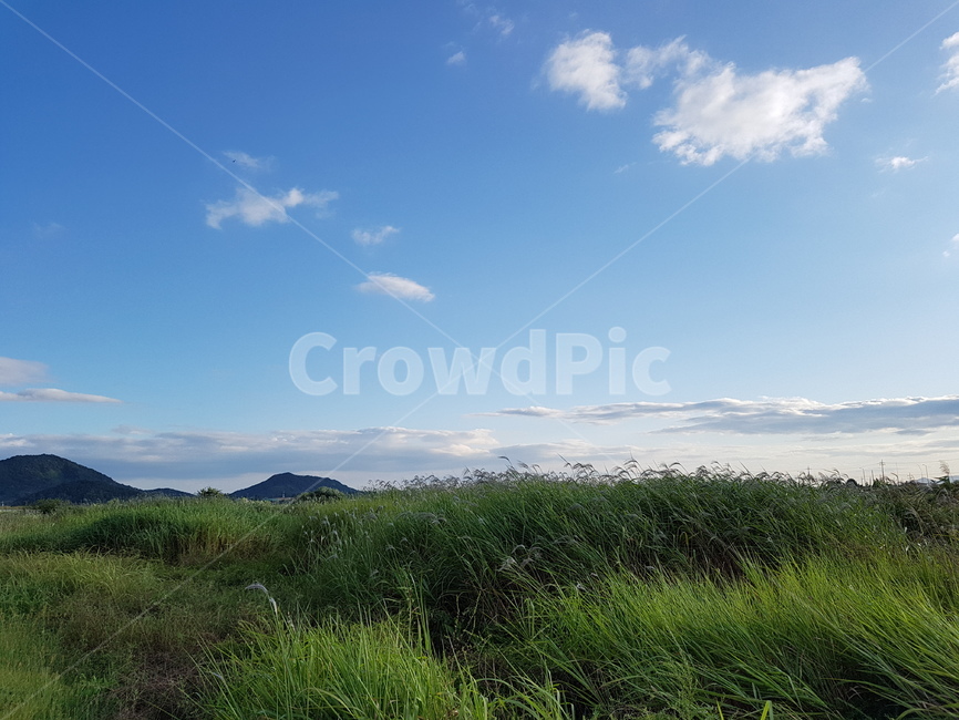 자전거하이킹,자전거도로,나주,영산포,자연,자연,풍경,nature,landscape