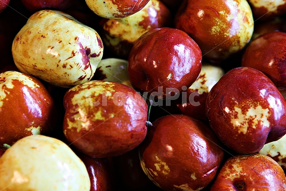 대추,빨강,수확,과일,음식,식재료,요리,먹거리,가을,추수,가을,계절,fall,autumn,season,과일,열매,fruit,plant,식물,food,egg,계란