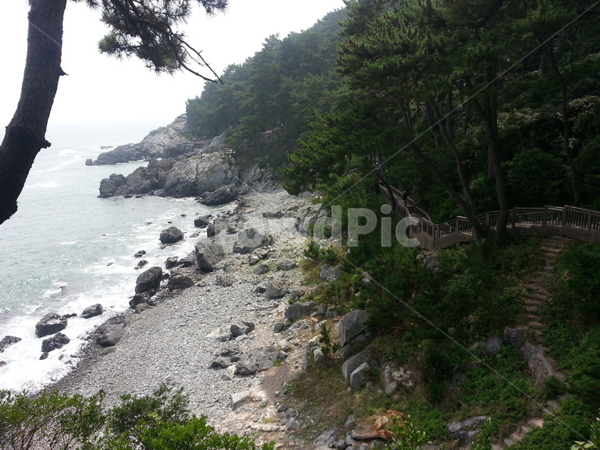 부산,풍경,바다,배경,나무,자연,풍경,nature,landscape,promontory,곶