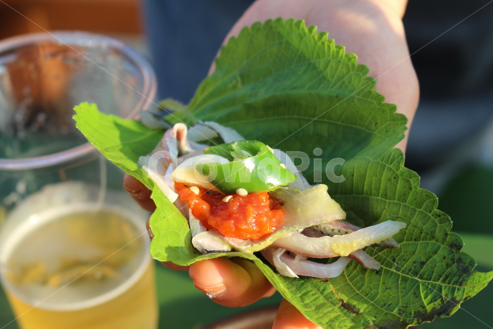 쌈,전어회,깻잎쌈,전어,회,음식,식재료,요리,food,cook,meal,dishes,food reserves,한식,한국음식,한국요리,korean food,korean dishes,korean meal,korean cook