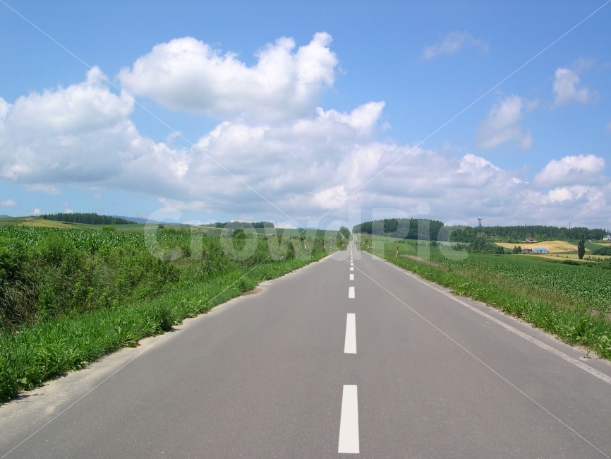 	도로,길,풍경,자연,하늘,구름,전원,시골,논,논밭,밭,로드,load,way,자연,풍경,nature,landscape,교통,교통수단,traffic,transportation,시골,마을,country,rural,town,road,도로,freeway,고속 도로,highway,고속도로,asphalt,아스팔트