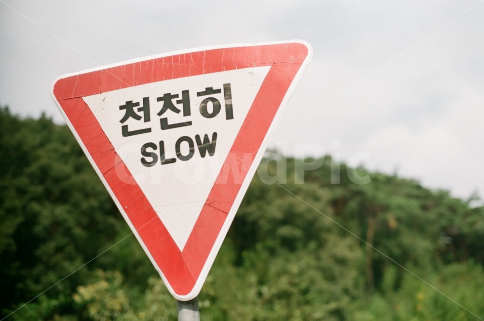 표지판,천천히,감성,필름,카메라,미놀타,쉬어가기,휴식,감성,sensible,feeling,교통,교통수단,traffic,transportation,sign,기호,road sign,도로 표지판