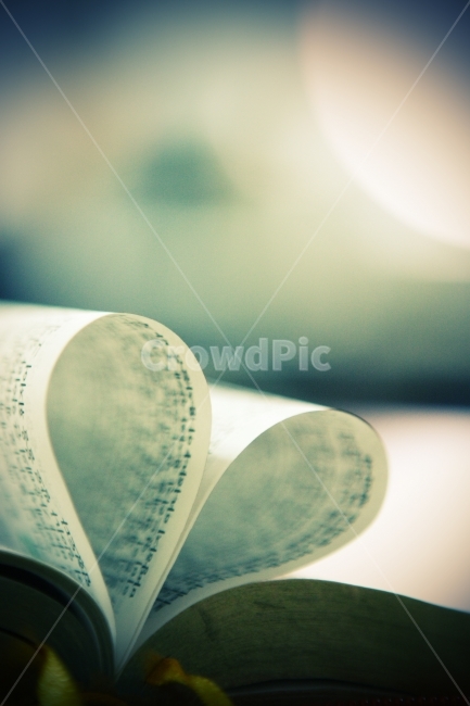 사랑,성경,기독교,일상,책,감정표현,기분,feeling,emotion,종교,신앙,religion,belief,faith,감성,sensible,연출,컨셉,콘셉,direction,concept