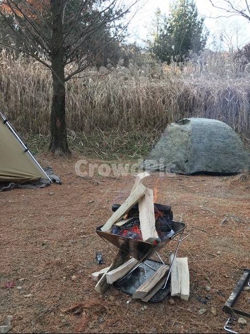 캠핑,텐트,장작,새벽,아침,안개,감성,겨울,캠퍼