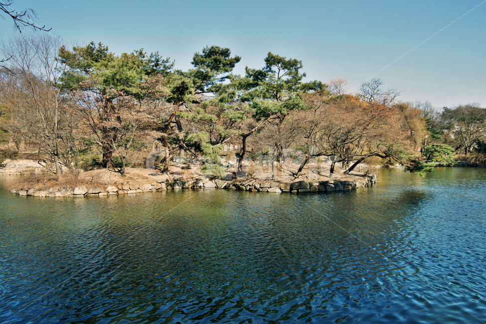 춘당지,연못,창경궁,춘장대,후원,자연,풍경,nature,landscape,water,물,outdoors,옥외