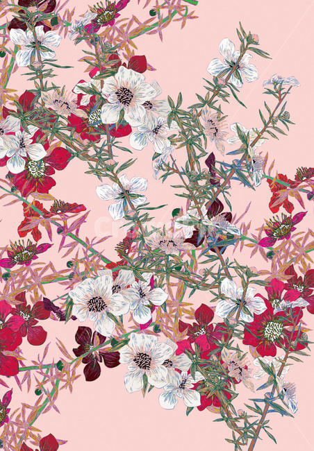 art,미술,doodle,낙서,drawing,그림,pink,액자,그래픽,일러스트레이션,graphic,illustration