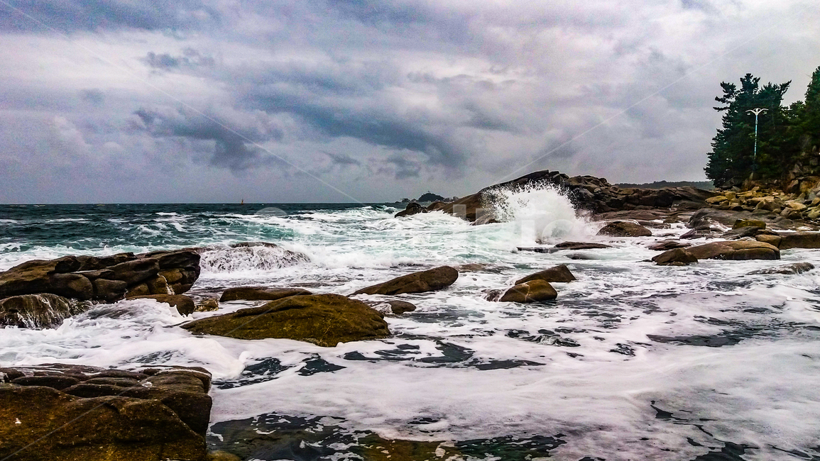 파도,동해안,갯바위,포말,흐림,풍랑,자연,풍경,nature,landscape,sea,바다,water,물,ocean,대양,outdoors,옥외
