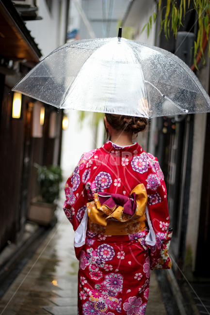 기모노,교토,전통의상,뒷모습,우산,비오는날,rainy,일본,japan,사람,인물,인간,human,person,여성,여자,woman,female,lady,패션스타일,의상,fashion,style,비,비오는날,rain,rainy