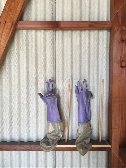 고무장갑,창고,보라,장갑,감성,rubbergloves,warehouse,storage,storehouse,store,depot