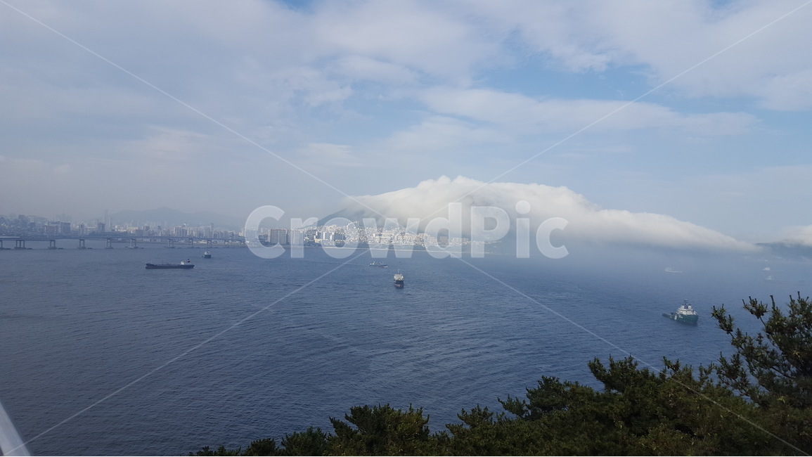 바다,섬,안개,해무,다리,자연,풍경,nature,landscape,promontory,곶,outdoors,옥외
