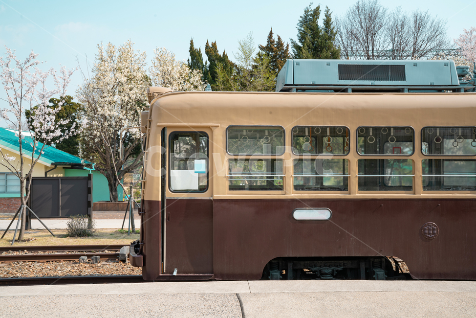 기차,열차,교통,트램,기차역,빈티지,화랑대,화랑대역,봄,train,transportation,tram,station,vintage,복고,교통,교통수단,traffic,transportation
