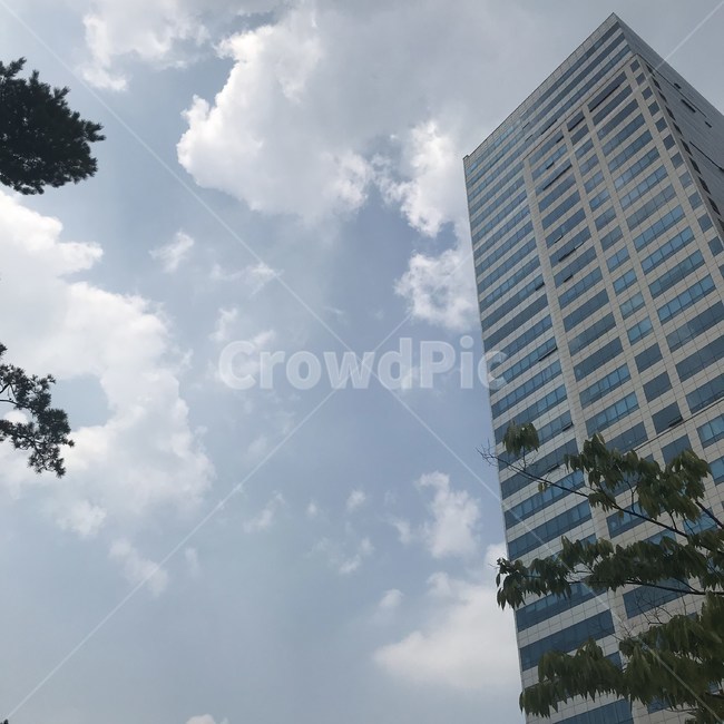 building,건물,officebuilding,사무실건물,대성디폴리스,daesungdipolis