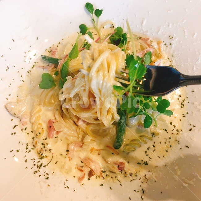 까르보나라,파스타,음식,요리,스파게티,파슬리,포크,food,음식,식재료,요리,food,cook,meal,dishes,food reserves,양식,서양음식,서양요리,western food,western dishes,western meal,western cook