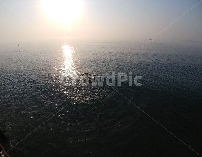 바다,태양,빛,광활,sea,sun