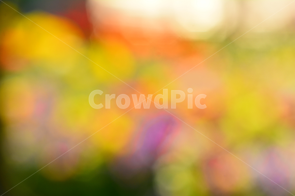 봄,색감,감성,분위기,느낌,벡그라운드,emotion,feeling,sensible,칼라풀,색상,화려한,colorful,season,시즌,계절,몽환적,그라데이션,gradation,art,번짐,혼색,다양한,노랑,빨강,핑크,분홍,그린,녹색,봄배경,background,바탕,배경