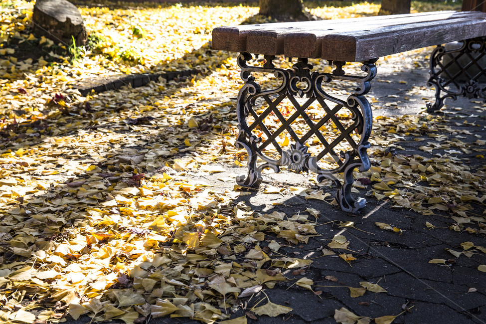그림자,가을,벤치,공원,낙엽,감성,가을,계절,fall,autumn,season,휴식,힐링,rest,relaxation,healing