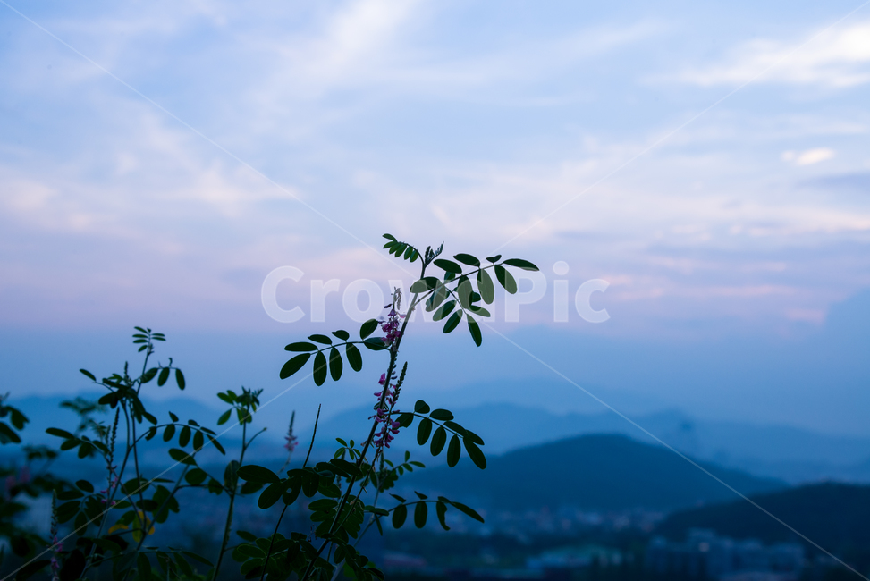 노을,구름,일몰,황혼,자연,clouds,sunset