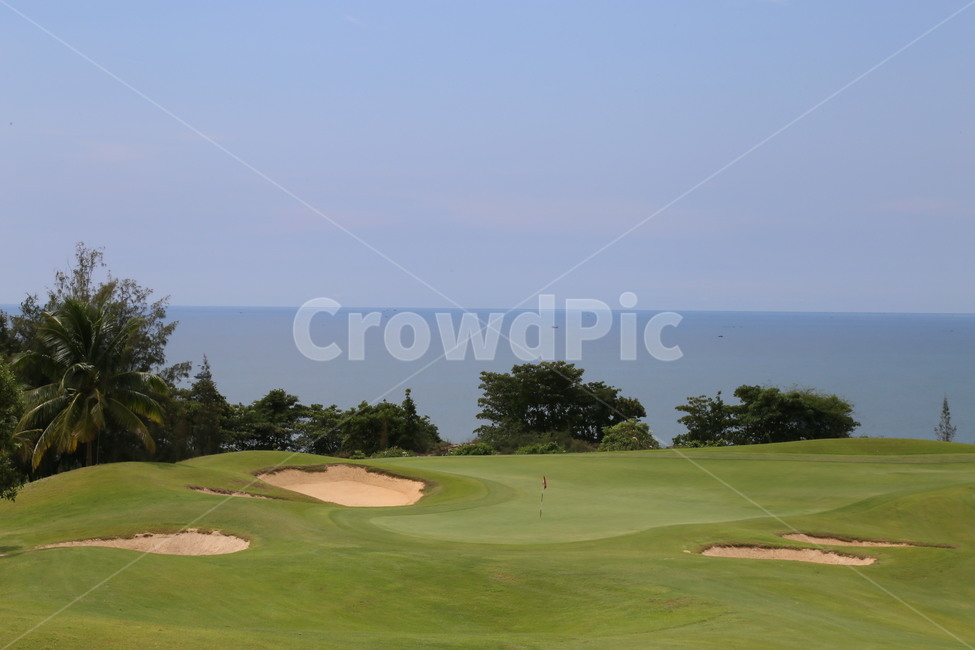 field,들,골프,골프장,골프코스,golf,golfcourse,green,그린,바닷가,자연,nature