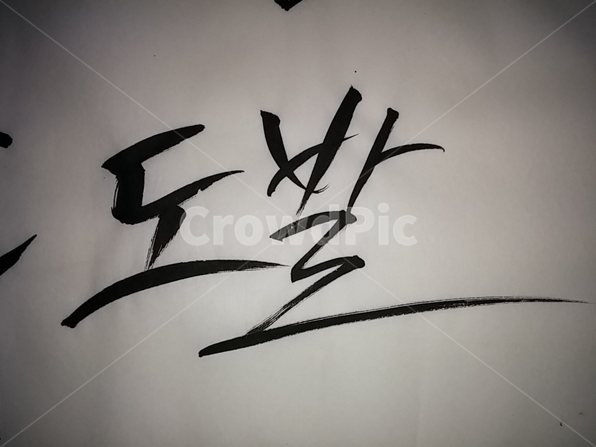 캘리그라피,본문,도발,글씨,캘리,폰트,필적,handwriting