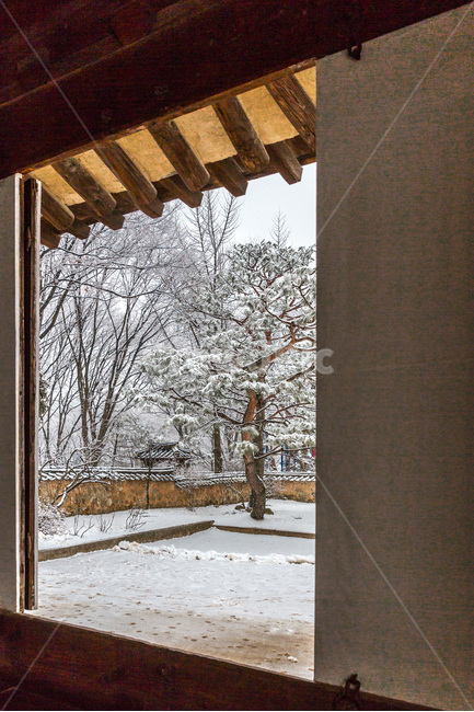 겨울,설경,정원,고택,전통,풍경,겨울,계절,winter,season,한국전통,한국문화,korean traditional,korean culture,식물,자연,plants,nature,나무,trees,wood,건축물,건물외관,exterior,building,structure,architecture,construction