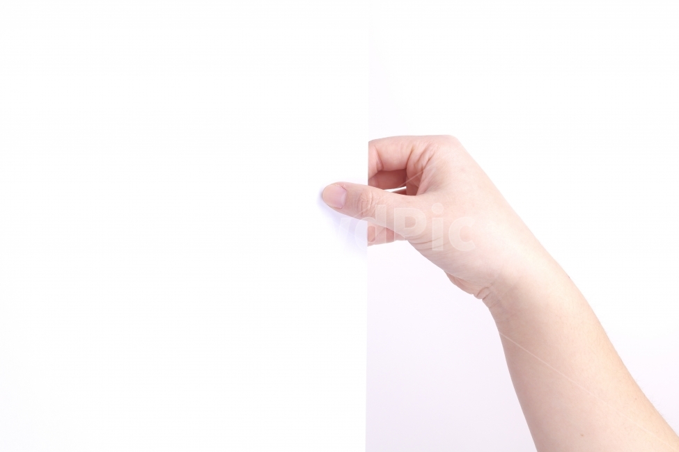 제스쳐,모션,손,핸드,핸드모션,손가락,손바닥,hand,motion,gesture,비즈니스,business,다울,사진,단독사진,포토,누끼,사람,인물,인간,human,person,신체일부,몸,body,연출,컨셉,콘셉,direction,concept
