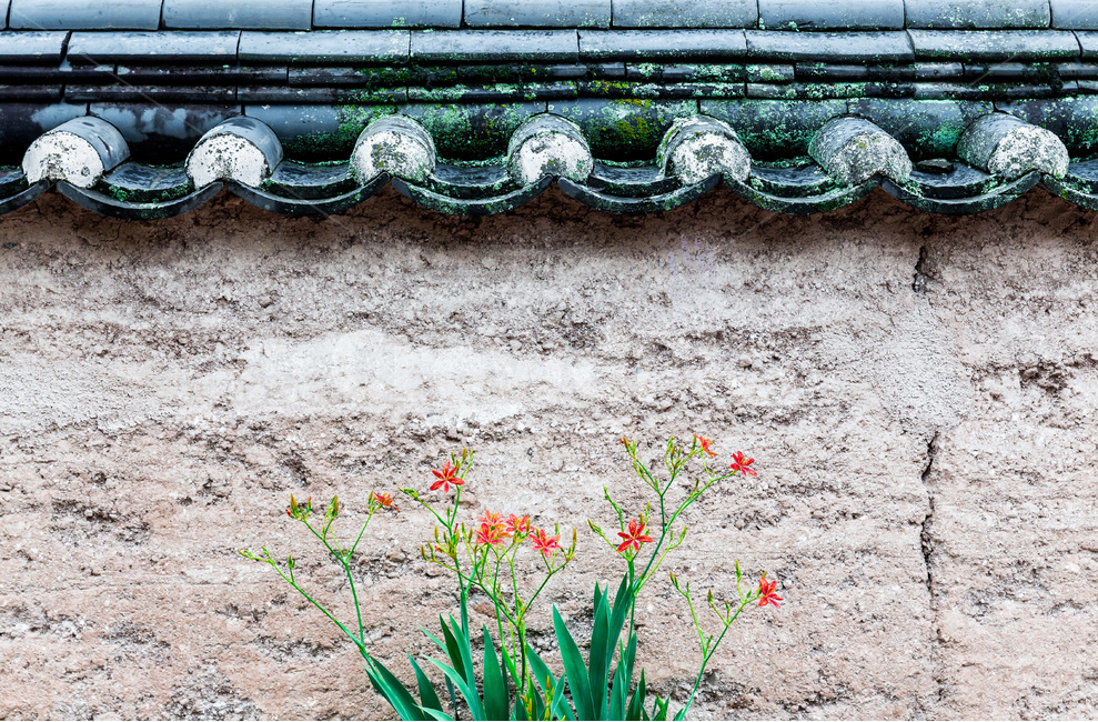 기와,담벼락,전통,민속,건축,고택,한국전통,한국문화,korean traditional,korean culture,식물,자연,plants,nature,꽃,flower,건축물,건물외관,exterior,building,structure,architecture,construction